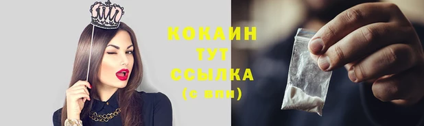 гашик Балахна