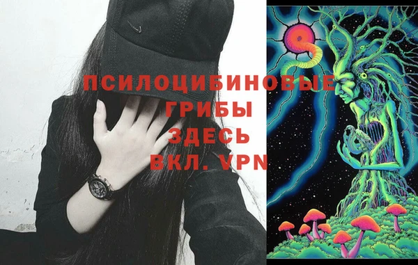 сатива Балабаново